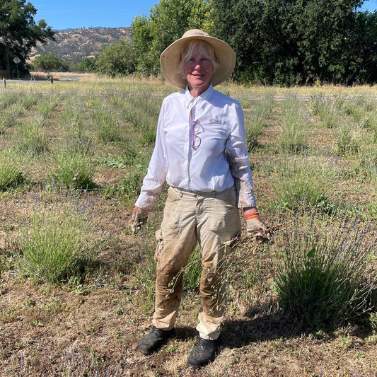 Going with the "flow"