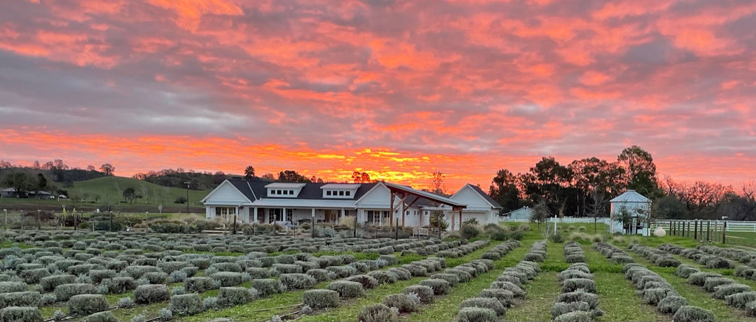 Communities Adds So Much to Life