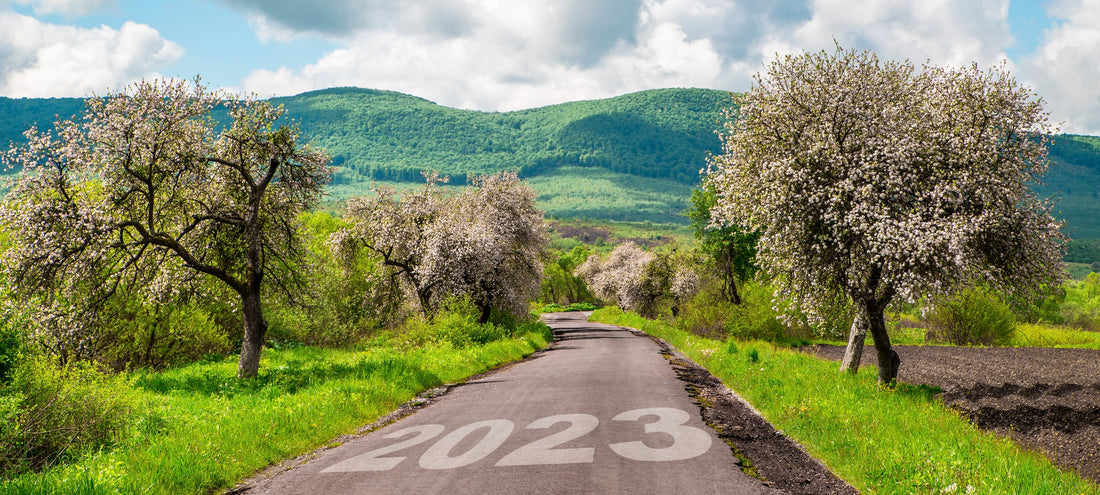 Looking Forward to the New Year