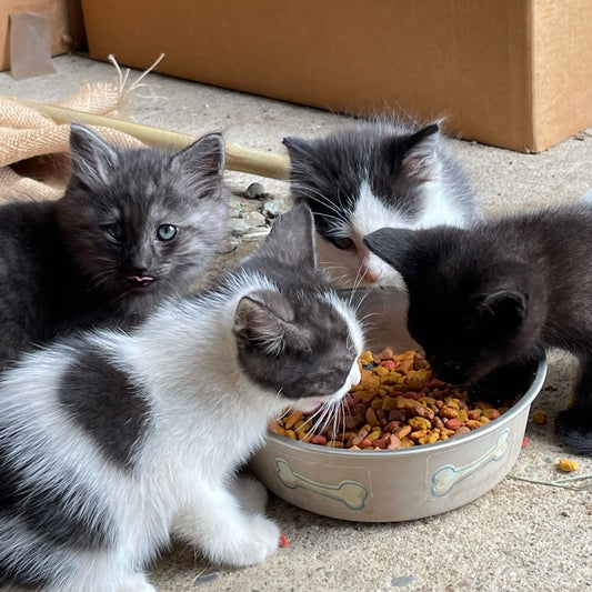 Months Making Plans -- That Fell Apart!