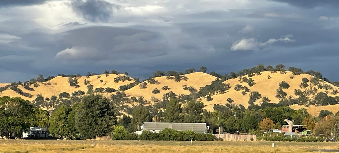 The Farm in Fall -- You Must Come!