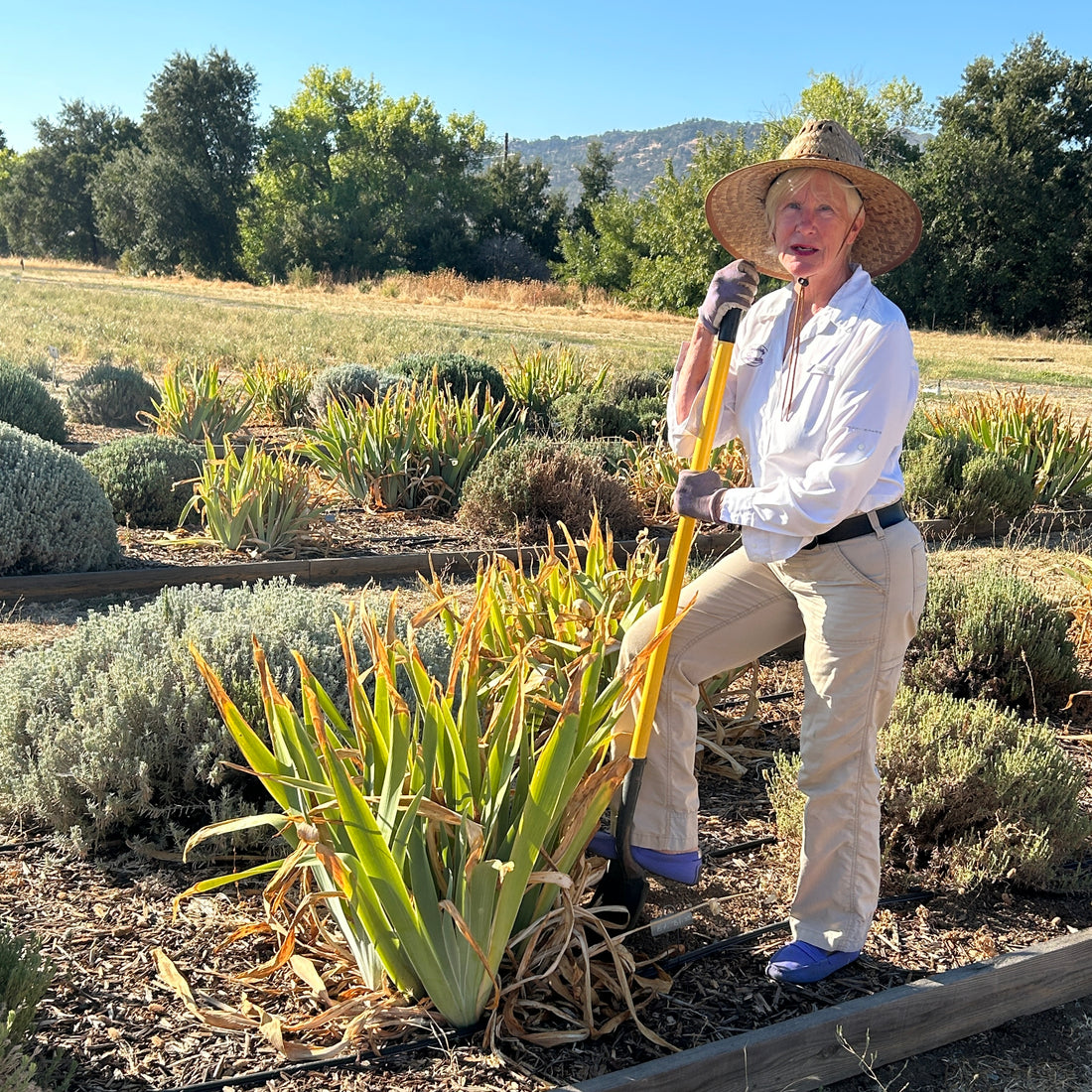 Diggin' In and Getting Things Done