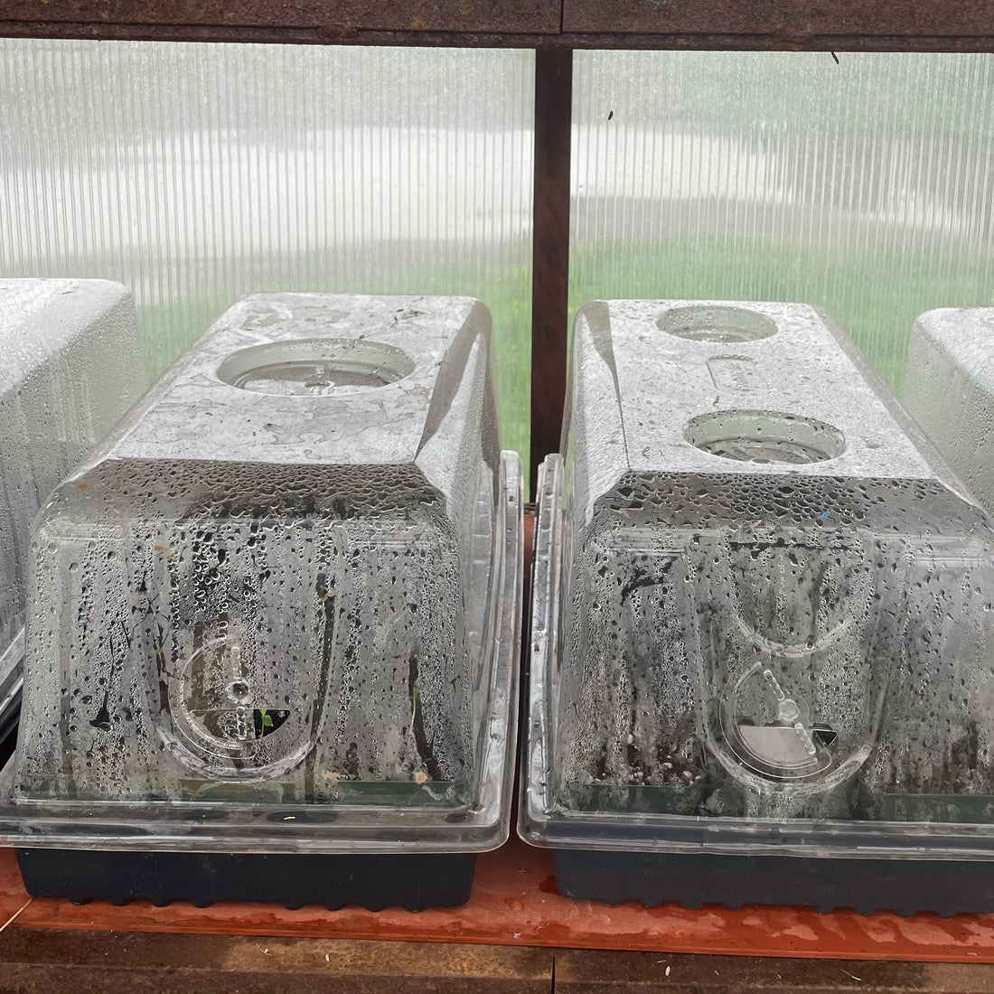 Great News for 2023!