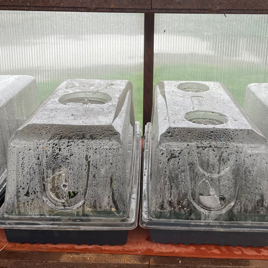 Great News for 2023!