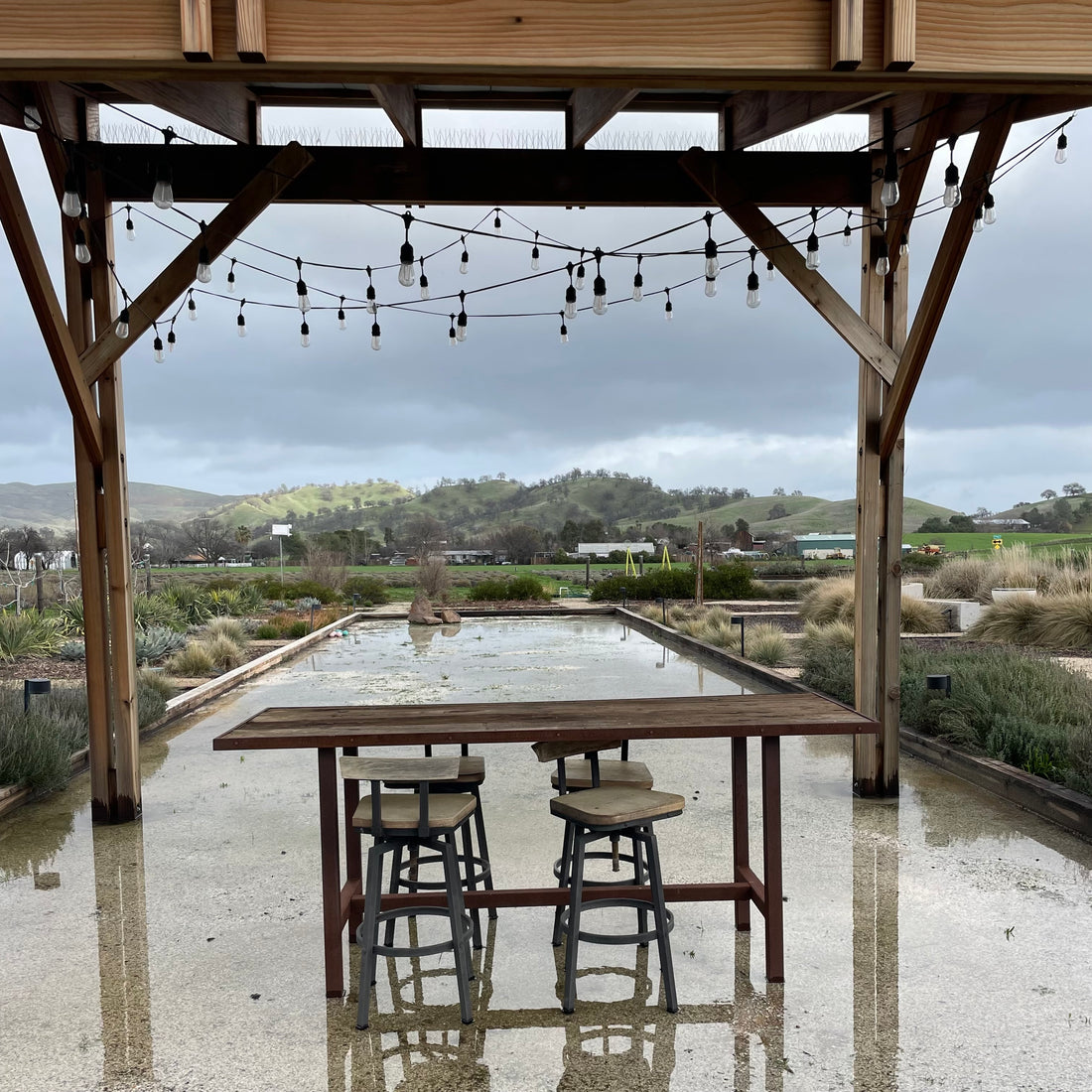 Be Careful What You Wish For