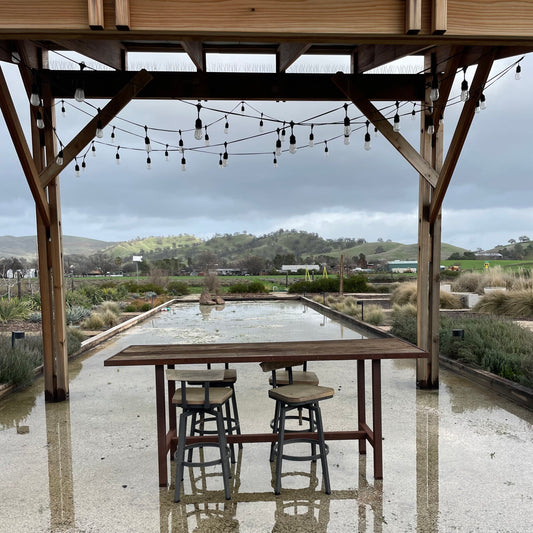 Be Careful What You Wish For