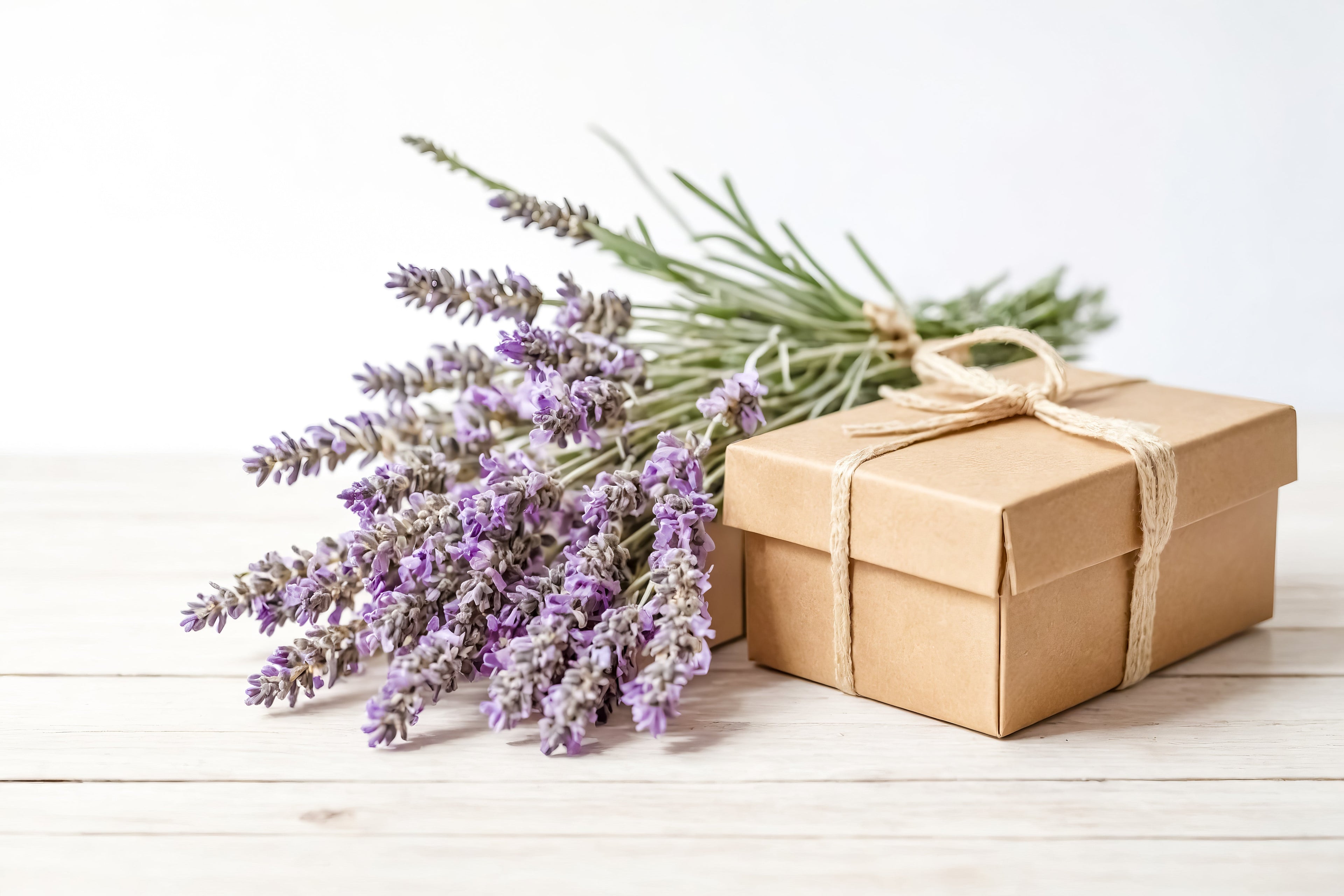 SCENT-SATIONAL HOLIDAY GIFTS