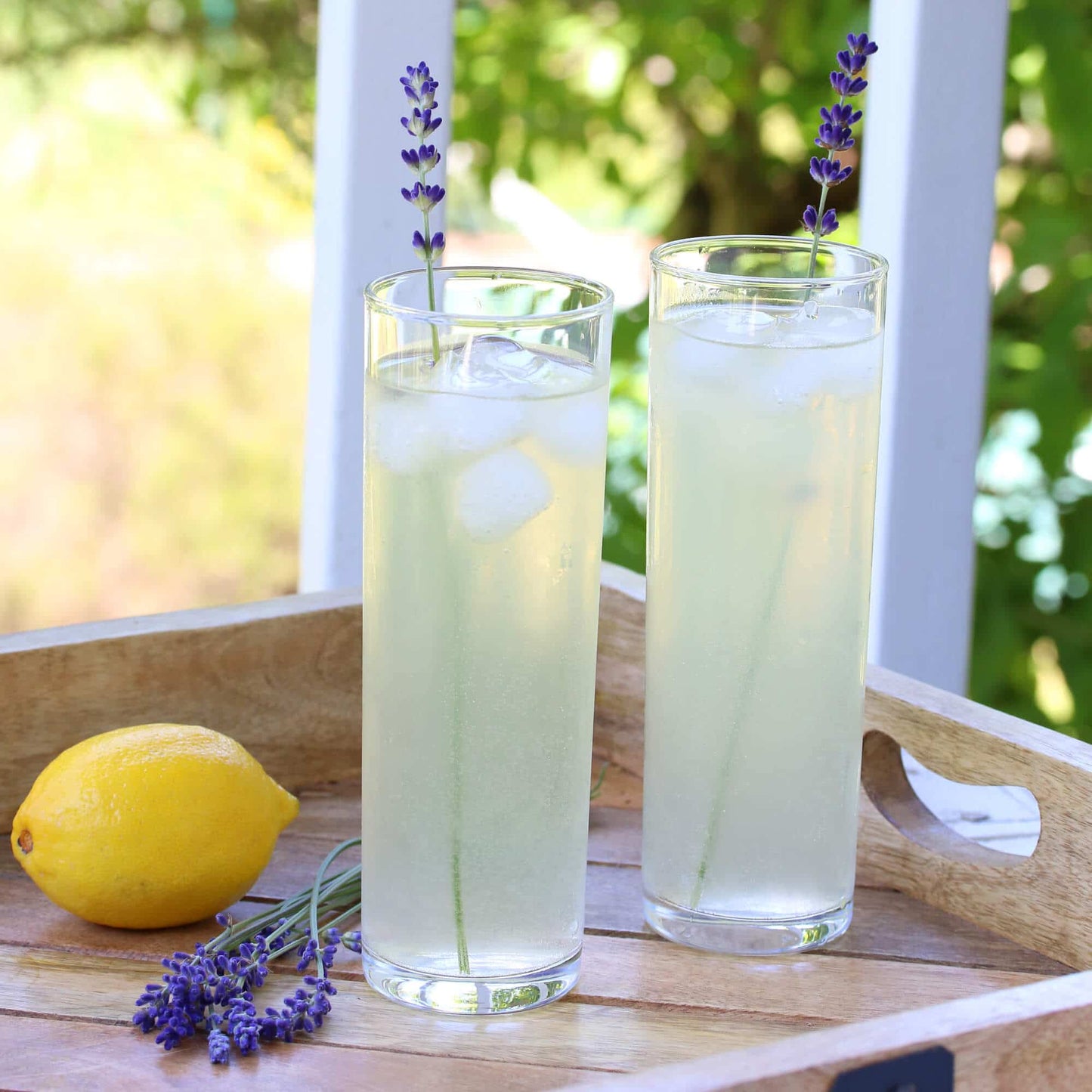 CULINARY LAVENDER
