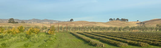 A Wonderful Fall Time