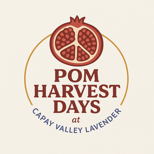 POM HARVEST DAYS